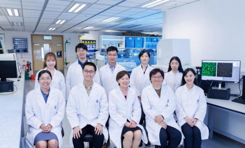 Prof Nancy IP and her research team